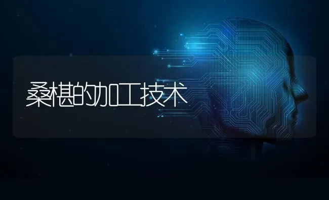 桑椹的加工技术 | 养殖技术大全