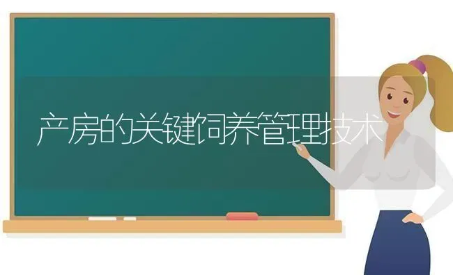 产房的关键饲养管理技术 | 养殖知识