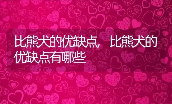 比熊犬的优缺点,比熊犬的优缺点有哪些 | 养殖科普