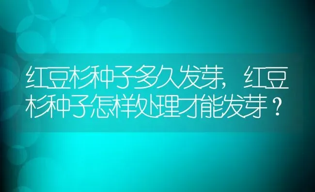 红豆杉种子多久发芽,红豆杉种子怎样处理才能发芽？ | 养殖科普