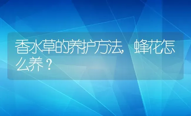 香水草的养护方法,蜂花怎么养？ | 养殖科普