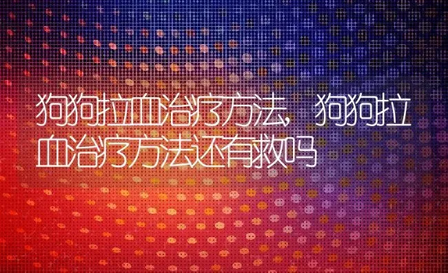 狗狗拉血治疗方法,狗狗拉血治疗方法还有救吗 | 养殖科普