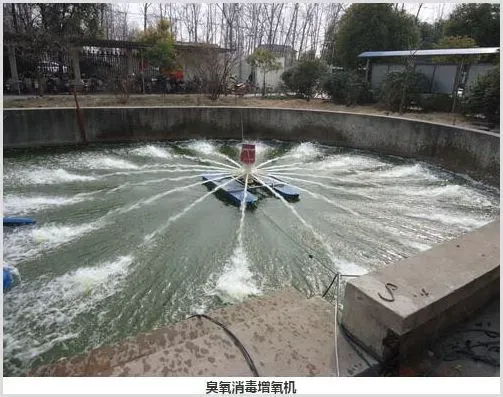 ZPXC—3.0型臭氧消毒增氧机 | 生活常识
