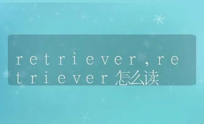 retriever,retriever怎么读 | 养殖科普