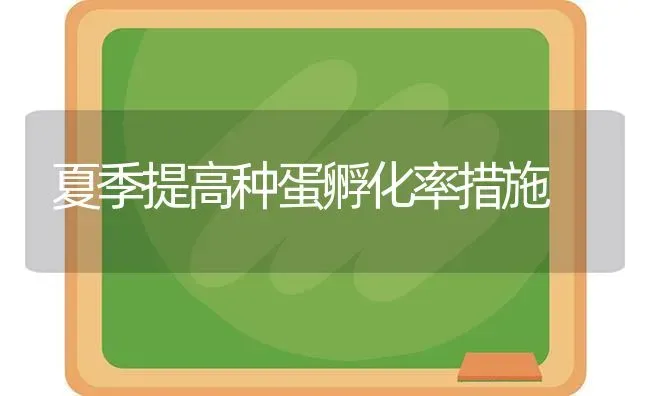 夏季提高种蛋孵化率措施 | 养殖知识