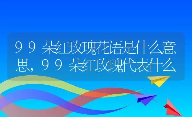 99朵红玫瑰花语是什么意思,99朵红玫瑰代表什么 | 养殖学堂