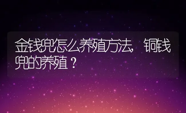 金钱兜怎么养殖方法,铜钱兜的养殖？ | 养殖科普