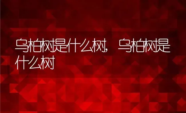 乌柏树是什么树,乌柏树是什么树 | 养殖科普