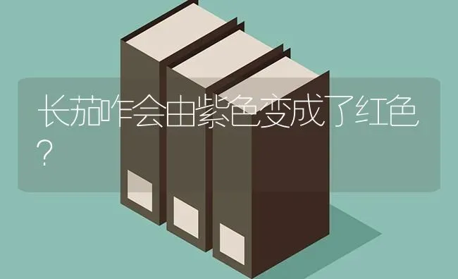 长茄咋会由紫色变成了红色? | 养殖知识