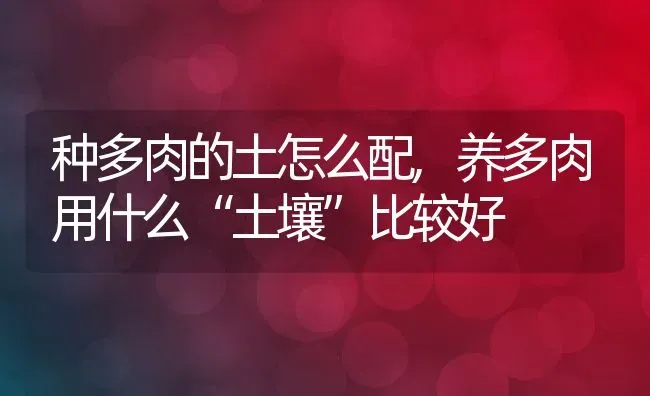 种多肉的土怎么配,养多肉用什么“土壤”比较好 | 养殖学堂