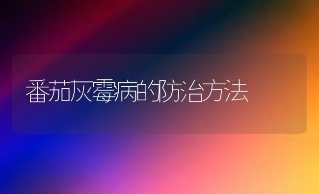 番茄灰霉病的防治方法 | 养殖知识