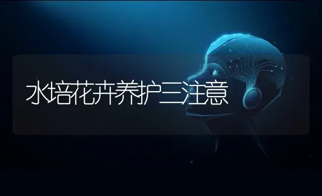 水培花卉养护三注意 | 养殖知识