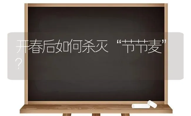 开春后如何杀灭“节节麦”? | 养殖技术大全