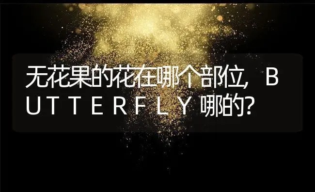 无花果的花在哪个部位,BUTTERFLY哪的？ | 养殖科普