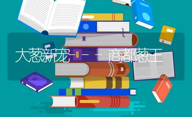 大葱新宠---商都葱王 | 养殖技术大全