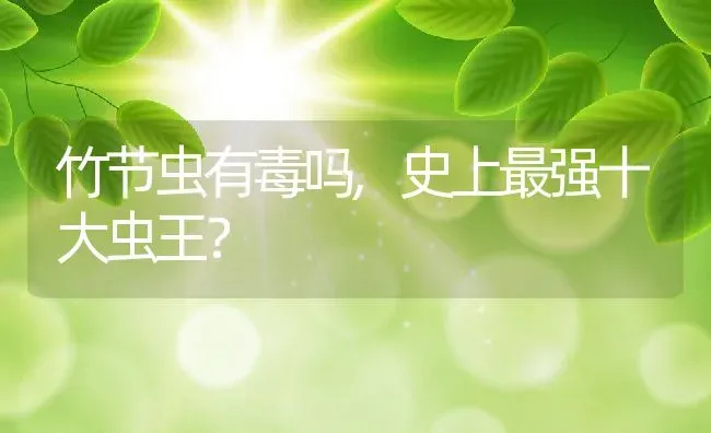 竹节虫有毒吗,史上最强十大虫王？ | 养殖科普