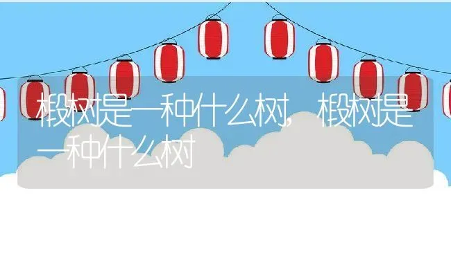 椴树是一种什么树,椴树是一种什么树 | 养殖科普