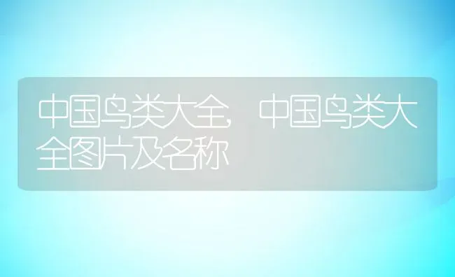 中国鸟类大全,中国鸟类大全图片及名称 | 养殖科普