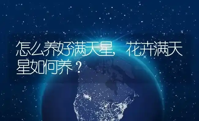 怎么养好满天星,花卉满天星如何养？ | 养殖科普
