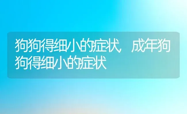 狗狗得细小的症状,成年狗狗得细小的症状 | 养殖资料