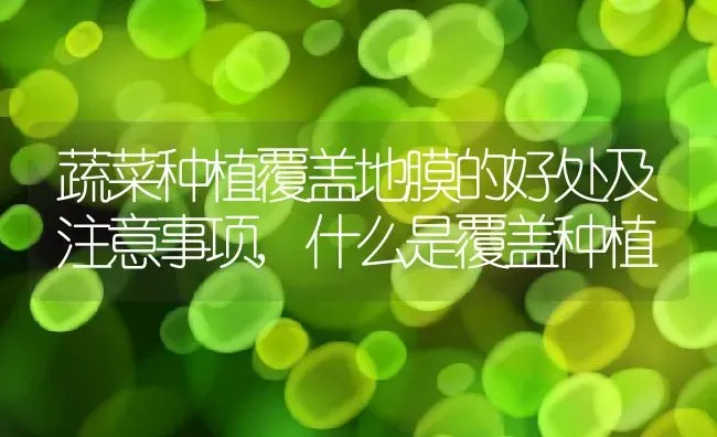 蔬菜种植覆盖地膜的好处及注意事项,什么是覆盖种植 | 养殖学堂