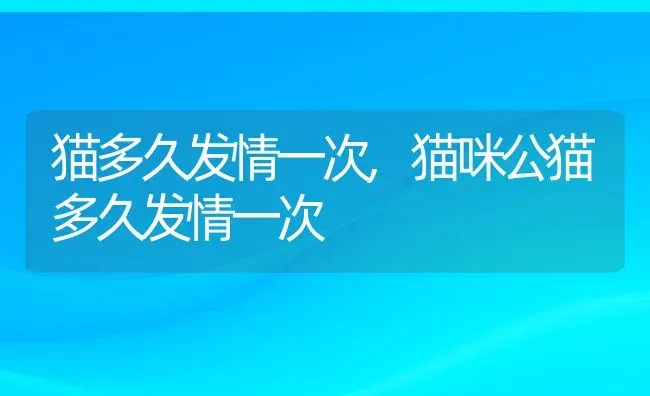 猫多久发情一次,猫咪公猫多久发情一次 | 养殖科普