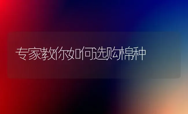 专家教你如何选购棉种 | 养殖知识