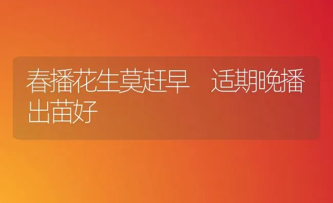 春播花生莫赶早　适期晚播出苗好 | 养殖技术大全