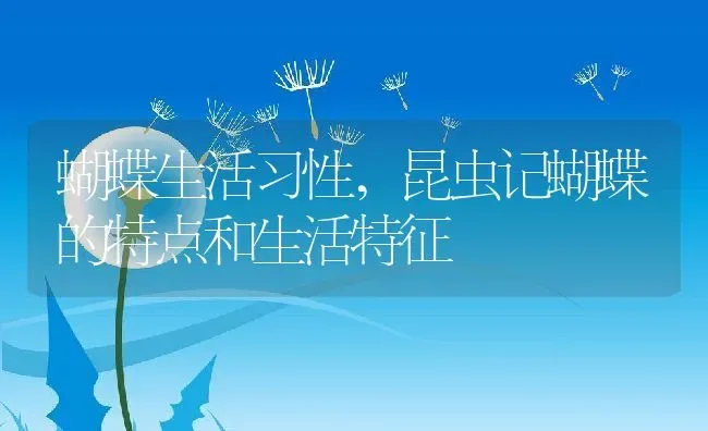 蝴蝶生活习性,昆虫记蝴蝶的特点和生活特征 | 养殖科普