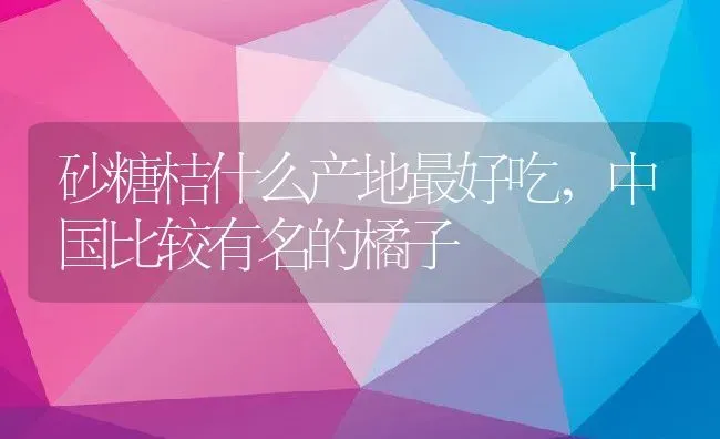 砂糖桔什么产地最好吃,中国比较有名的橘子 | 养殖学堂