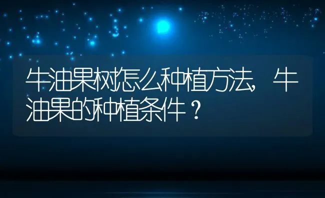 牛油果树怎么种植方法,牛油果的种植条件？ | 养殖学堂