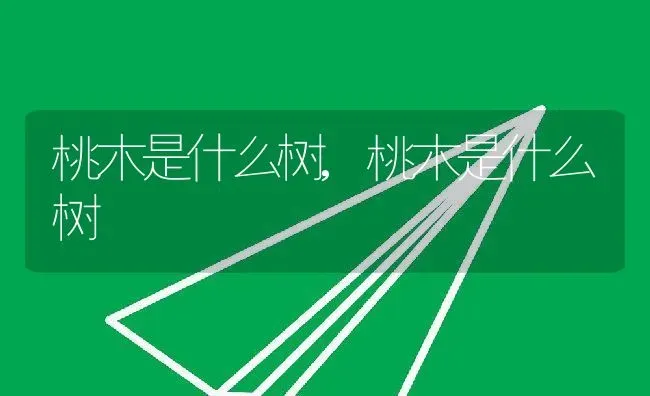 桃木是什么树,桃木是什么树 | 养殖科普