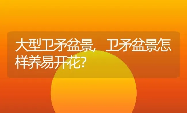 大型卫矛盆景,卫矛盆景怎样养易开花？ | 养殖科普