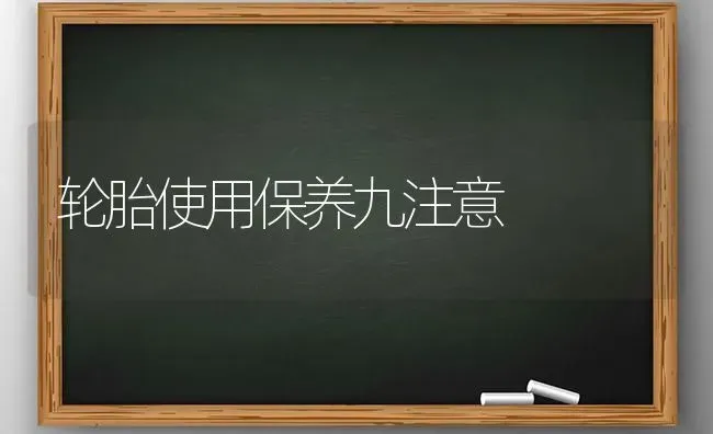 轮胎使用保养九注意 | 养殖技术大全