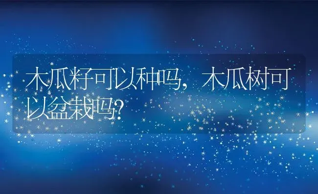 木瓜籽可以种吗,木瓜树可以盆栽吗？ | 养殖科普