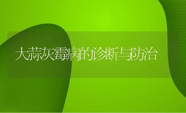 大蒜灰霉病的诊断与防治 | 养殖知识