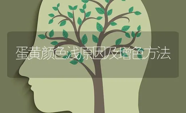 蛋黄颜色浅原因及增色方法 | 养殖知识