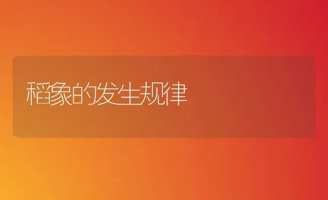 稻象的发生规律 | 养殖技术大全