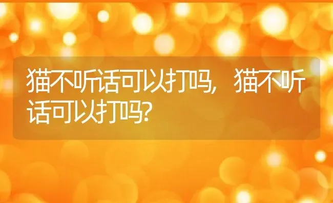 猫不听话可以打吗,猫不听话可以打吗? | 养殖科普