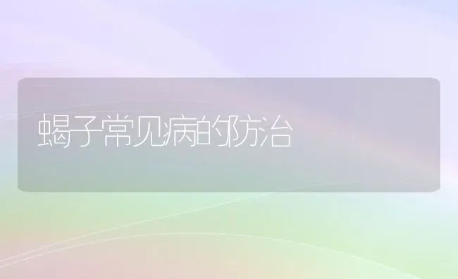 蝎子常见病的防治 | 养殖知识