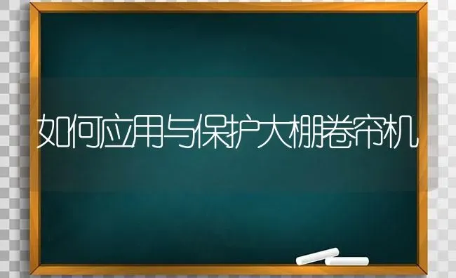 如何应用与保护大棚卷帘机 | 养殖技术大全