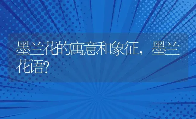 墨兰花的寓意和象征,墨兰花语？ | 养殖科普