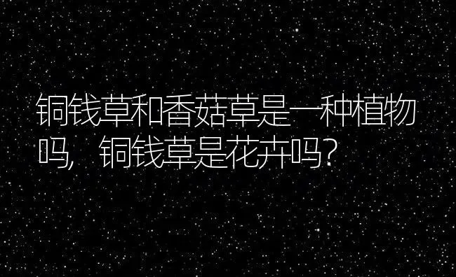 铜钱草和香菇草是一种植物吗,铜钱草是花卉吗？ | 养殖科普