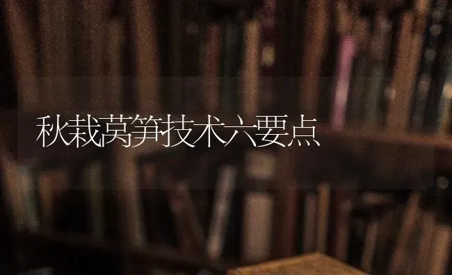 秋栽莴笋技术六要点 | 养殖技术大全