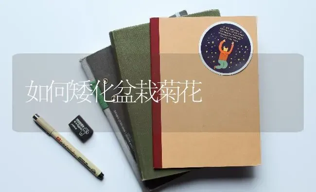 如何矮化盆栽菊花 | 养殖技术大全