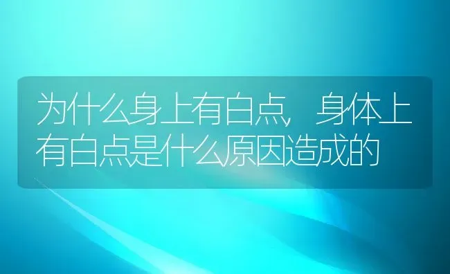 为什么身上有白点,身体上有白点是什么原因造成的 | 养殖科普