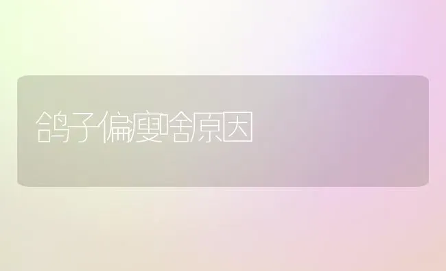 鸽子偏瘦啥原因 | 养殖技术大全