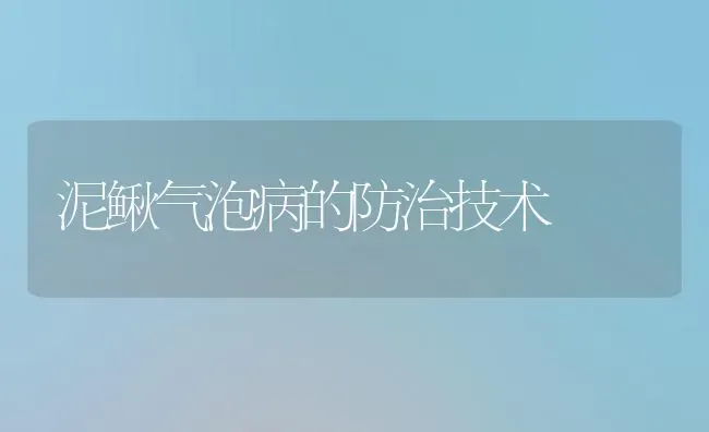 泥鳅气泡病的防治技术 | 养殖技术大全