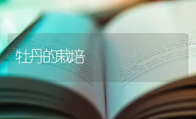 牡丹的栽培 | 养殖技术大全