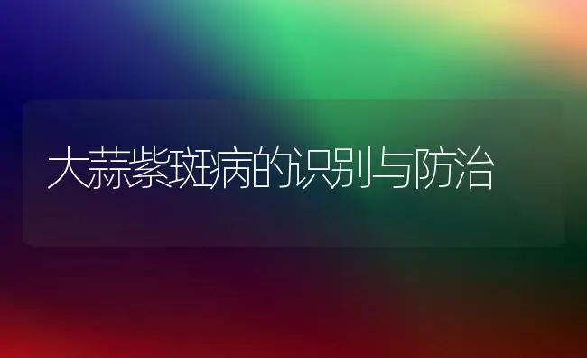 大蒜紫斑病的识别与防治 | 养殖技术大全